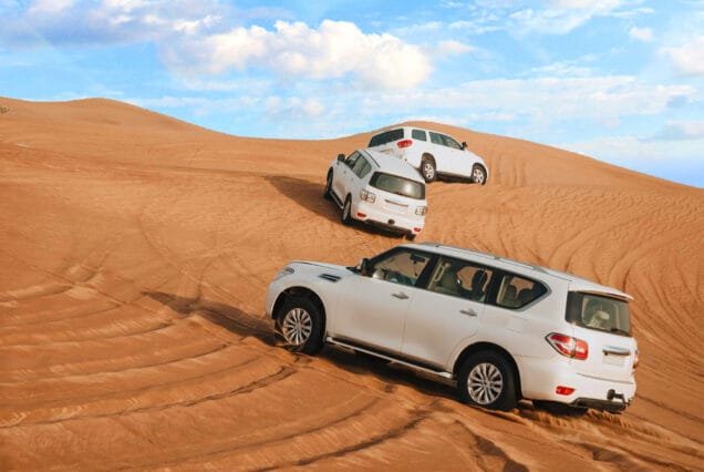 Full-Day Desert Safari